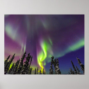 Aurora Borealis   Banken, Alaska Poster
