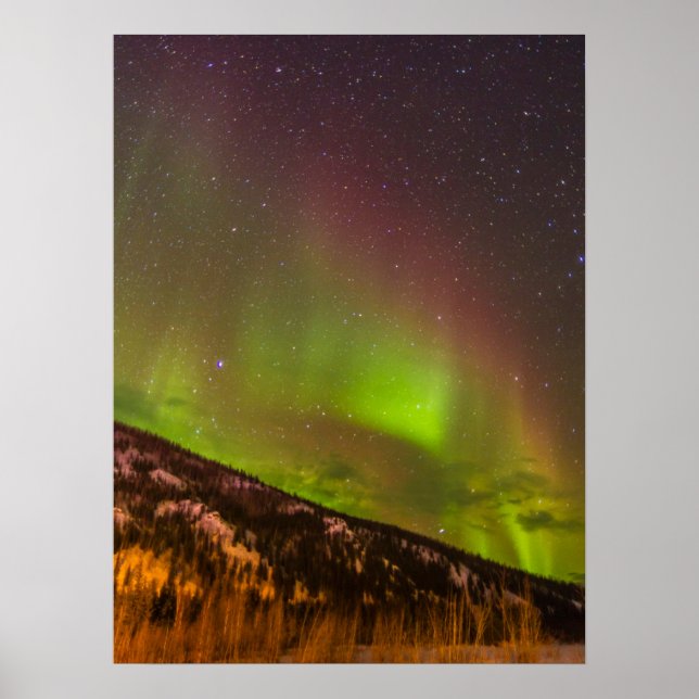 Aurora Borealis | Berge Fairbanks Alaska Poster (Vorne)