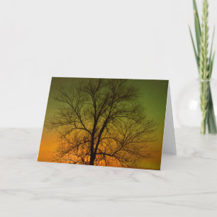 Aurora Borealis & Cottonwood Tree Karte
