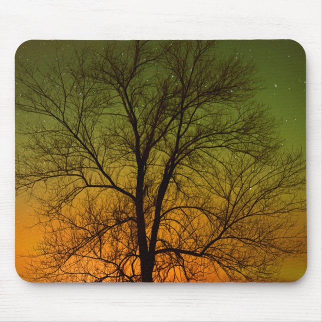 Aurora Borealis & Cottonwood Tree Mousepad (Vorne)