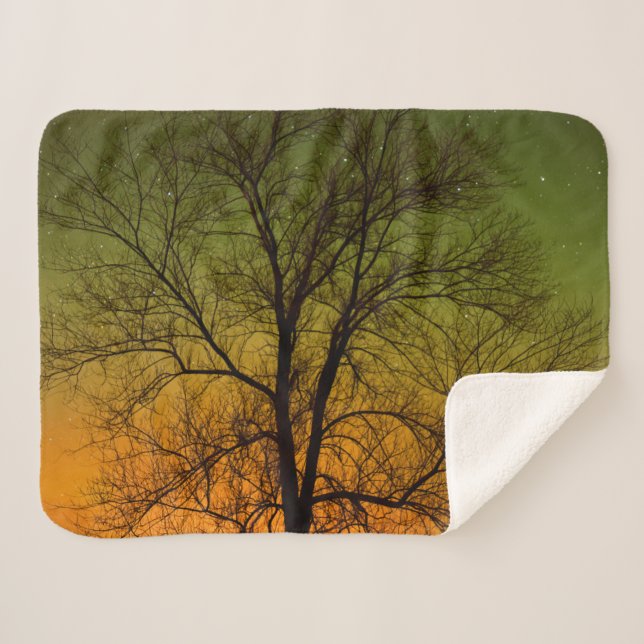 Aurora Borealis & Cottonwood Tree Sherpadecke (Vorderseite (Horizontal))