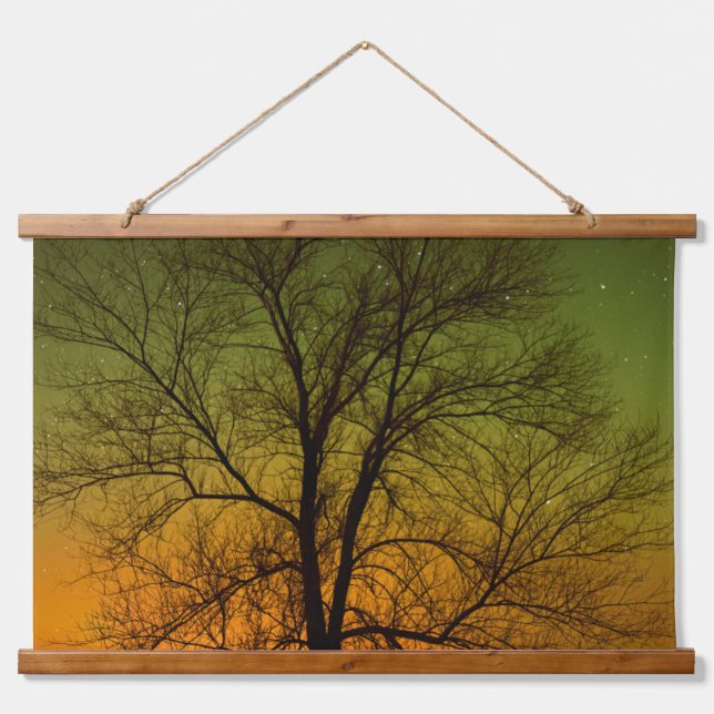 Aurora Borealis & Cottonwood Tree Wandteppich Mit Holzrahmen (Vorne)