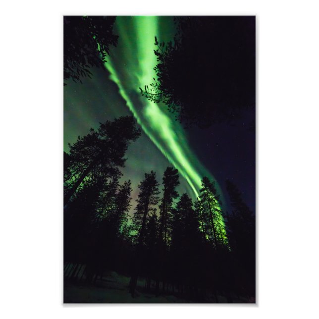 Aurora borealis im finnischen Lappland Fotodruck (Vorne)