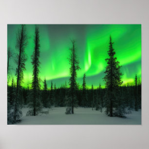 Aurora borealis im Winterposter Poster