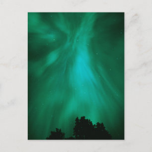Aurora Borealis Nacht   Ontario, Kanada Postkarte