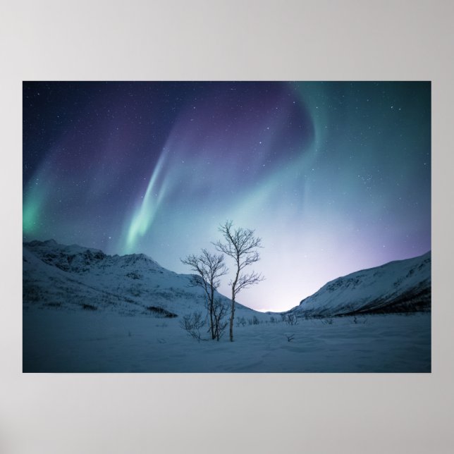 Aurora Borealis Night Poster (Vorne)