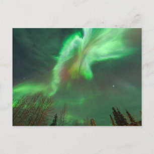Aurora Borealis Nordlicht Fairbanks Postkarte