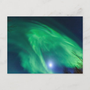 Aurora Borealis Nordlicht Fairbanks Postkarte