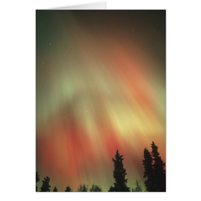 Aurora Borealis, Northern Lights, Fairbanks (Vorne)