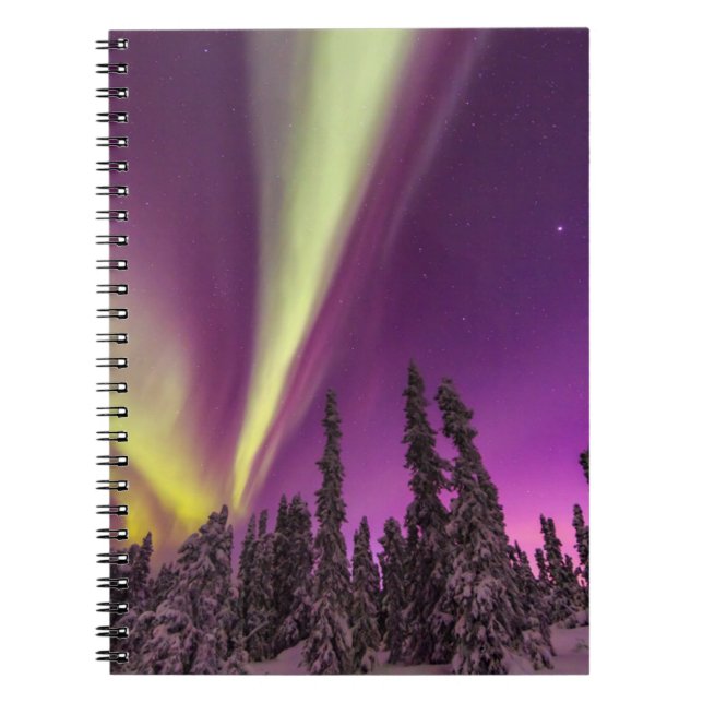 Aurora Borealis Northern Lights Fairbanks Alaska Notizblock (Vorderseite)