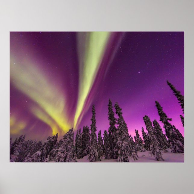 Aurora Borealis Northern Lights Fairbanks Alaska Poster (Vorne)