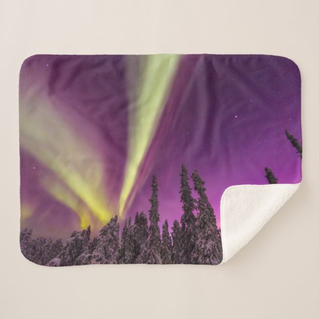 Aurora Borealis Northern Lights Fairbanks Alaska Sherpadecke (Vorderseite (Horizontal))