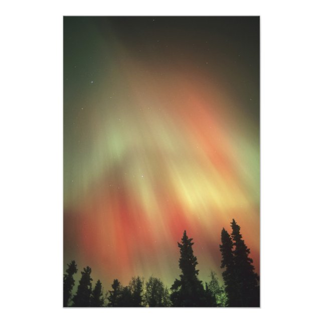 Aurora Borealis, Northern Lights, Fairbanks Fotodruck (Vorne)