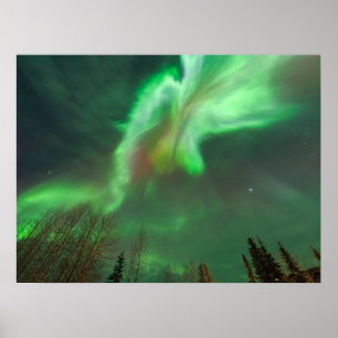 Aurora Borealis Northern Lights   Fairbanks Poster