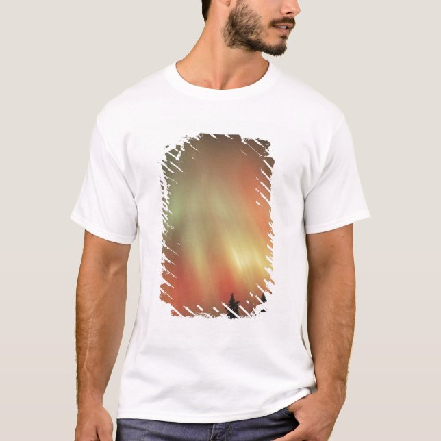 Aurora Borealis, Northern Lights, Fairbanks T-Shirt (Vorderseite)
