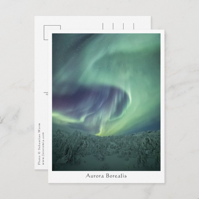 Aurora Borealis Norwegen Postkarte (Vorne/Hinten)