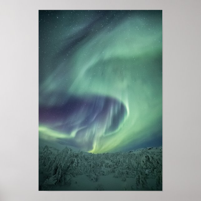 Aurora Borealis Poster (Vorne)