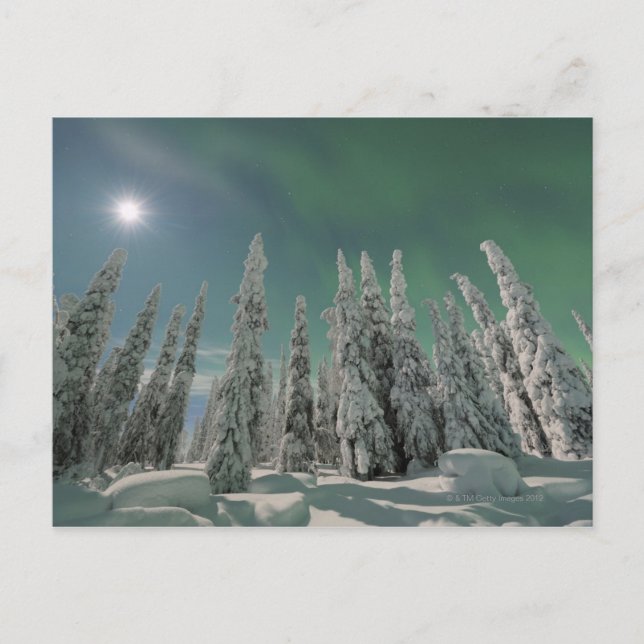 Aurora Borealis Postkarte (Vorderseite)