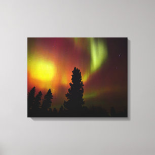 Aurora Borealis und Bäume Leinwanddruck