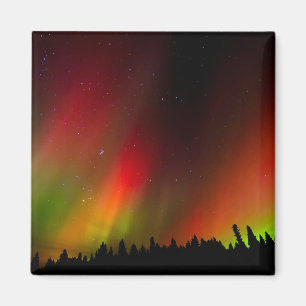 Aurora Borealis und Bäume Magnet