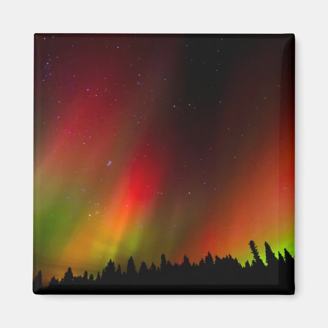 Aurora Borealis und Bäume Magnet (Vorne)