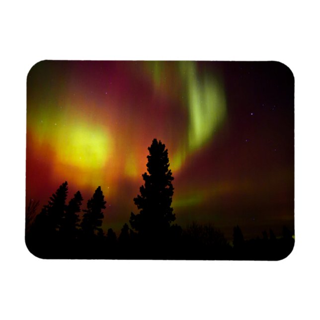 Aurora Borealis und Bäume Magnet (Horizontal)