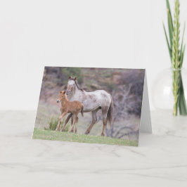 Aurora & Filly Galloping to Freedom Greeting Card Karte