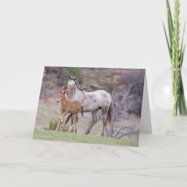 Aurora & Filly Galloping to Freedom Greeting Card Karte (Vorderseite)