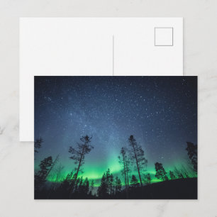 Aurora Forest Postkarte