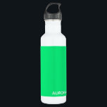 Aurora green color name edelstahlflasche<br><div class="desc">Aurora green color name</div>