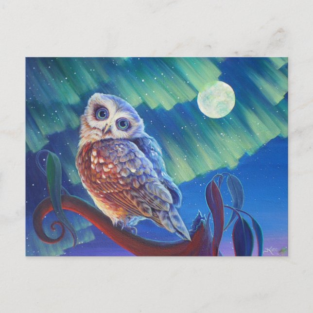 Aurora Owl Postkarte (Vorderseite)