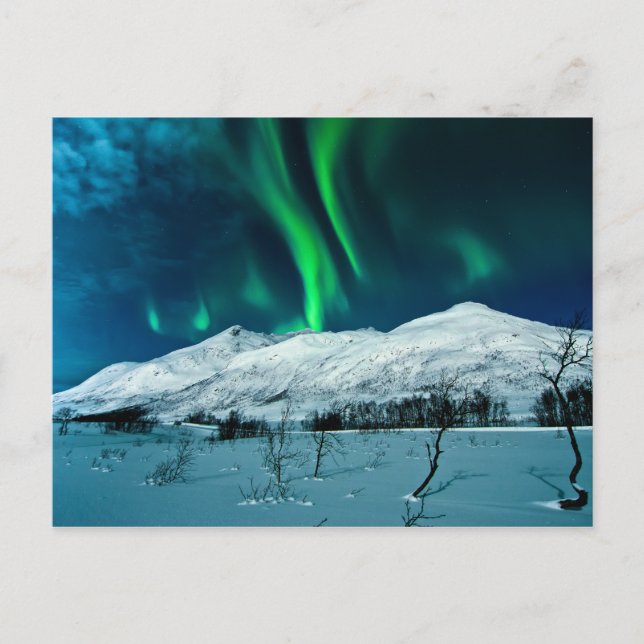 Aurora Postkarte (Vorderseite)