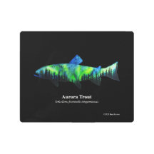 Aurora Trout; Metalldruck; schwarz; 10"x8"