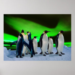 Auroraborealis und -Pinguine Poster