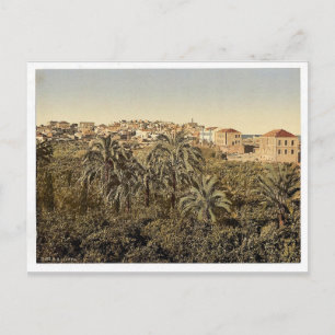 Aus dem Garten Jaffa, Heiliges Land, (d.h. Israel) Postkarte