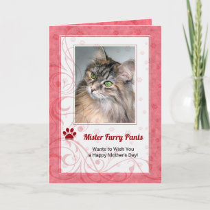 Aus dem katzenfarbenen Muttertagsfest-Foto der Ros Karte