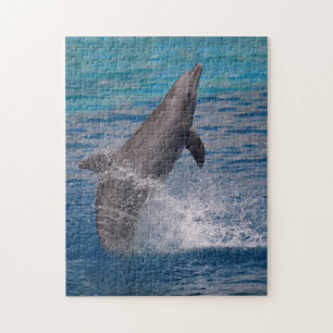 Aus dem Wasser stehende Dolphin Puzzle