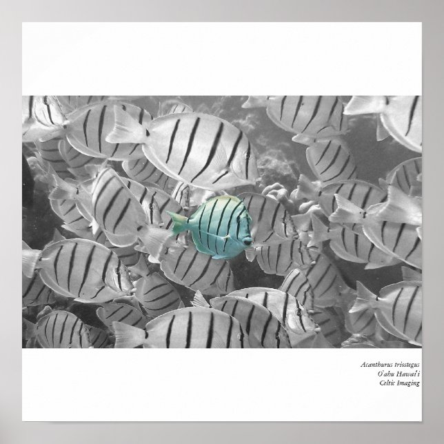 Aus der Menge stehend Poster (Vorne)