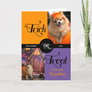 aus GRANDDOG Trick oder Treff Halloween zwei Fotos Feiertagskarte