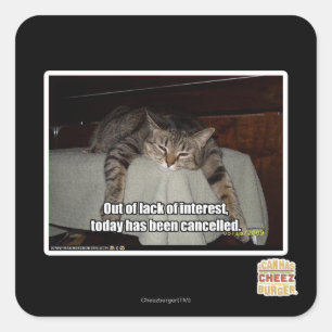 Aus Mangel an Interesse heraus Quadratischer Aufkleber