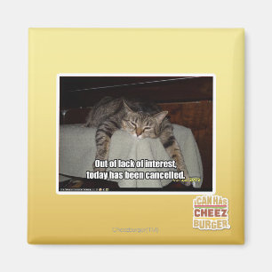 Aus Mangel an Interesse Magnet