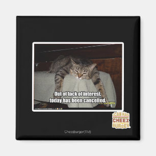 Aus Mangel an Interesse Magnet