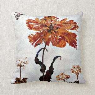 Aus Metamorphose Insektorum Surinamensium Kissen