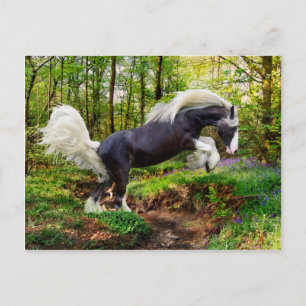 "Aus zeigen" Postkarte