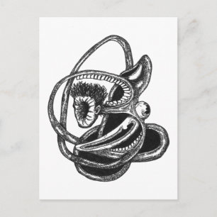 Ausblenden Postkarte