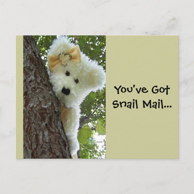 Ausblenden und Suchen Postkarte (Vorderseite)