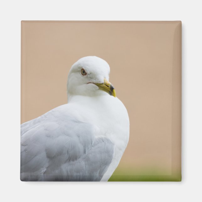 Ausblick Magnet (Vorne)