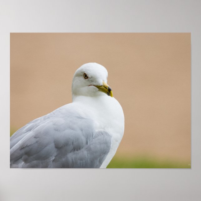 Ausblick Poster (Vorne)