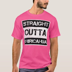 Ausblick über Chiricahua Nationaldenkmal Vintag T-Shirt