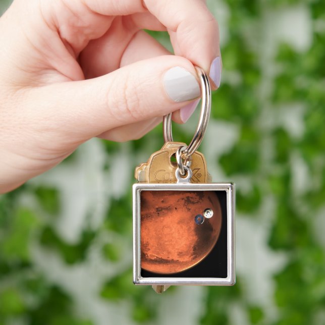 Ausdauer Rover, der seine Bühne der Kreuzfahrt abs Schlüsselanhänger (Hand)